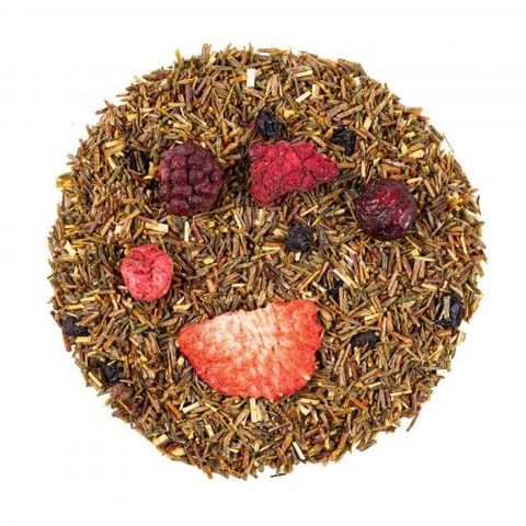 ROOIBOS & HONEYBUSH: Baies sauvages BIO (2)